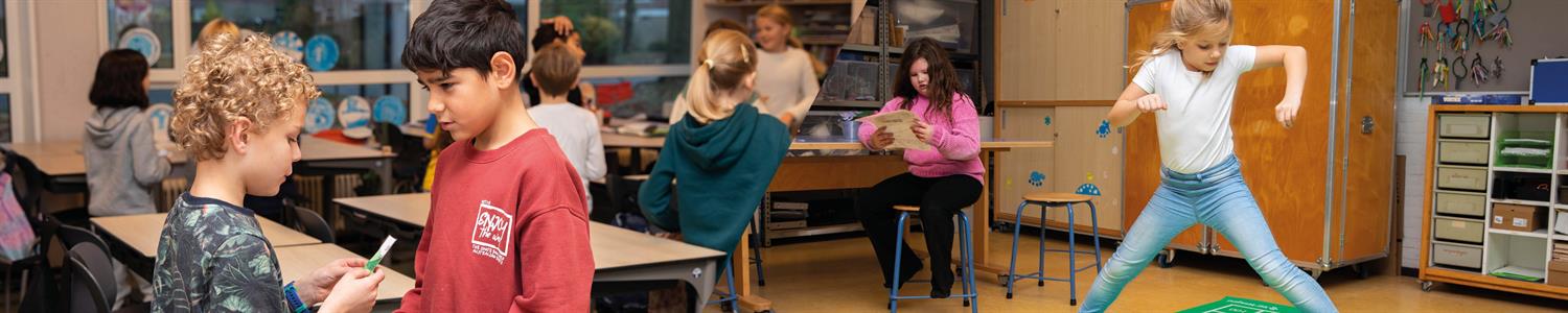 Netwerk voor leerlingenzorg